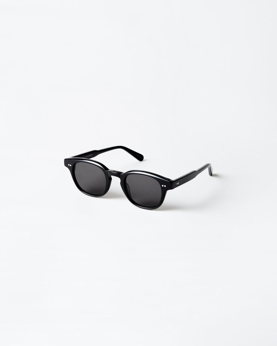 PolarView Sunglasses- Black