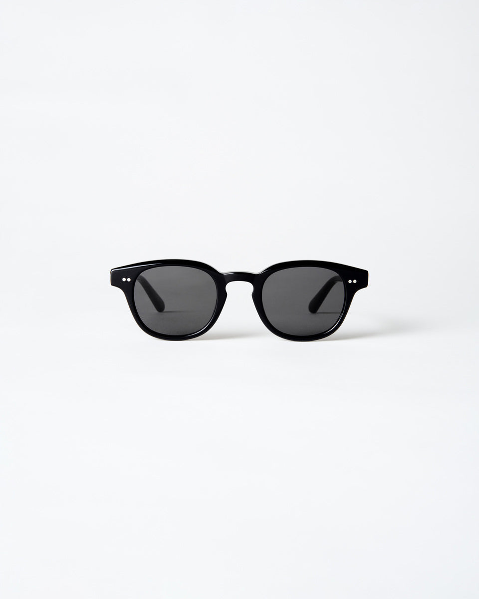 PolarView Sunglasses- Black