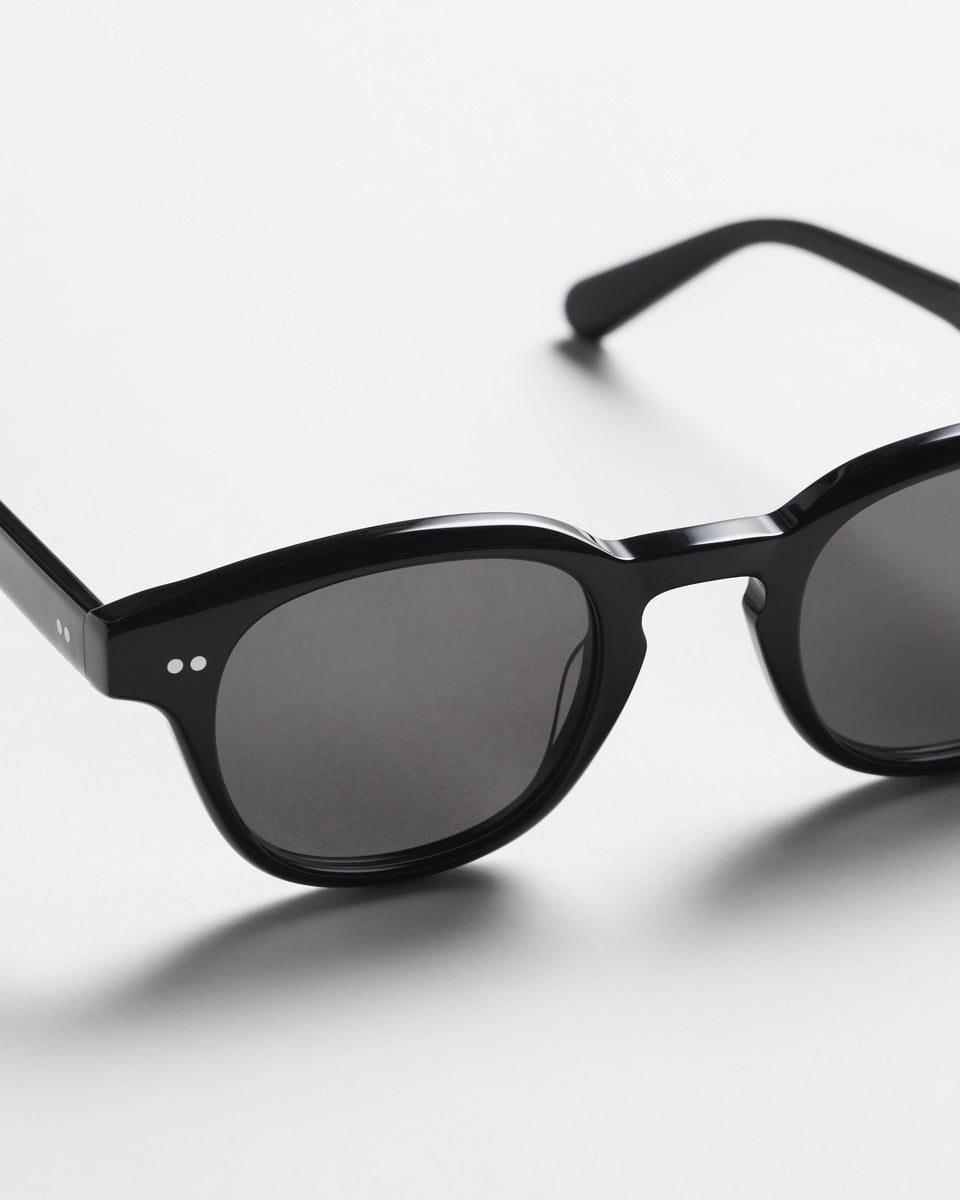PolarView Sunglasses- Black