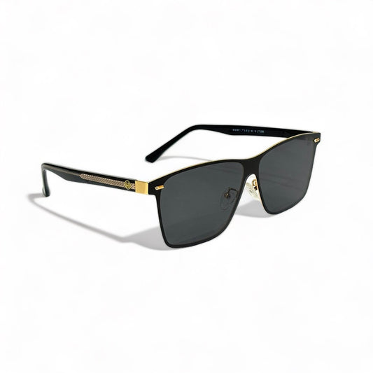 LuxVisionary Sunglass- Matte black